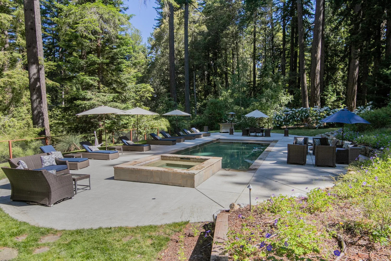 Pool and hot tub surrounded by redwoods